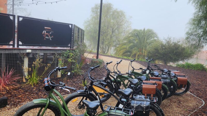 ebike hire 3