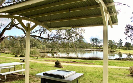 20250812_171236480_iOS