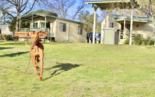 20250812_184737210_iOS