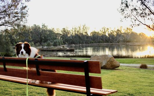 20250812_195827000_iOS