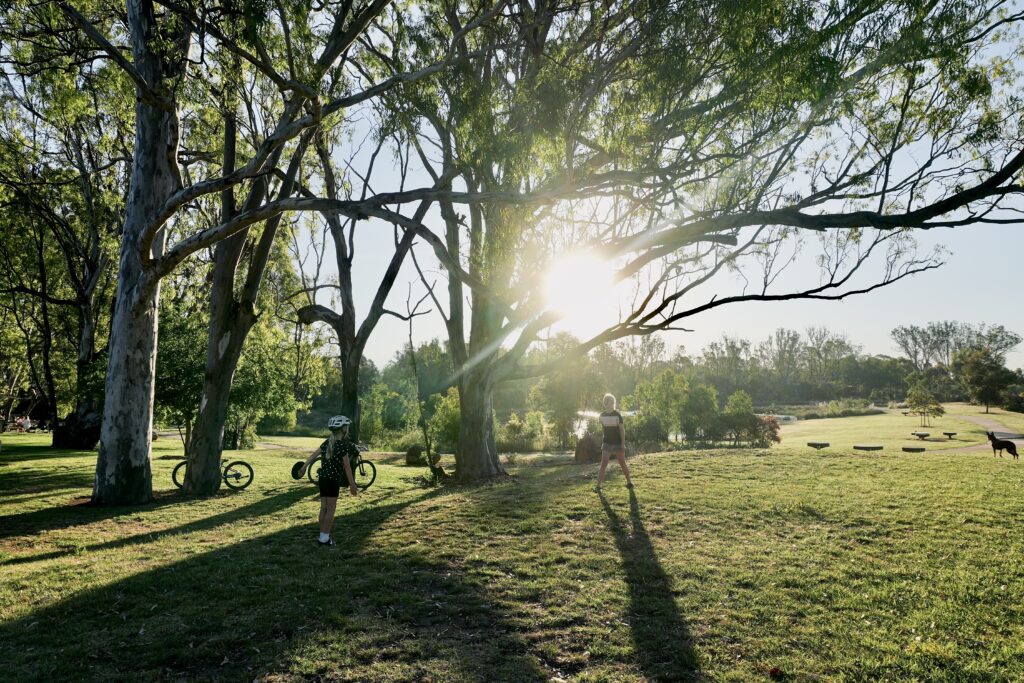 20251101_075829569_iOS