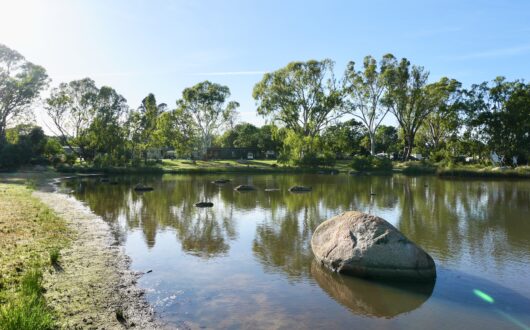 20251105_204658585_iOS