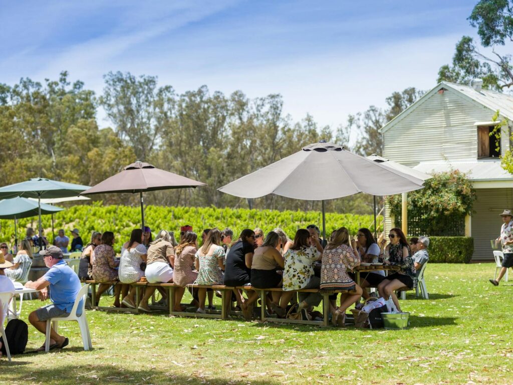 St Leonards Vineyard