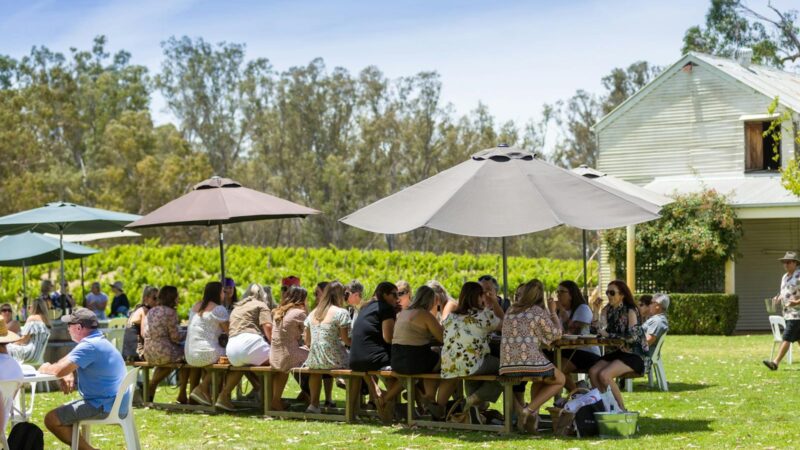 St Leonards Vineyard